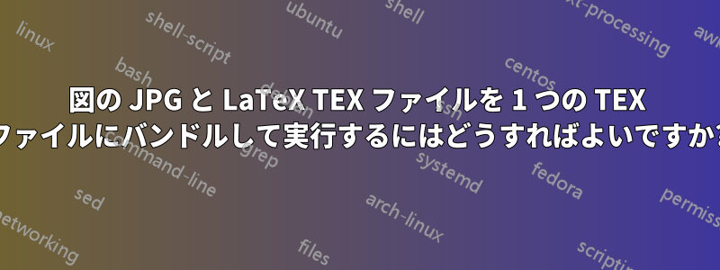 図の JPG と LaTeX TEX ファイルを 1 つの TEX ファイルにバンドルして実行するにはどうすればよいですか?