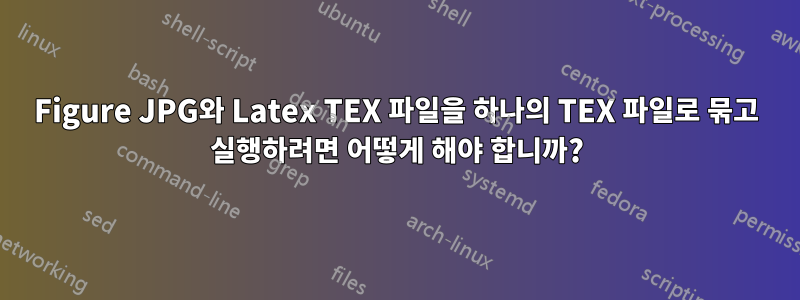 Figure JPG와 Latex TEX 파일을 하나의 TEX 파일로 묶고 실행하려면 어떻게 해야 합니까?