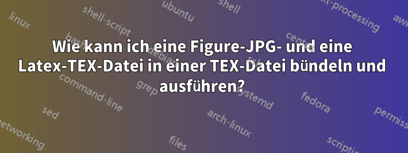 Wie kann ich eine Figure-JPG- und eine Latex-TEX-Datei in einer TEX-Datei bündeln und ausführen?