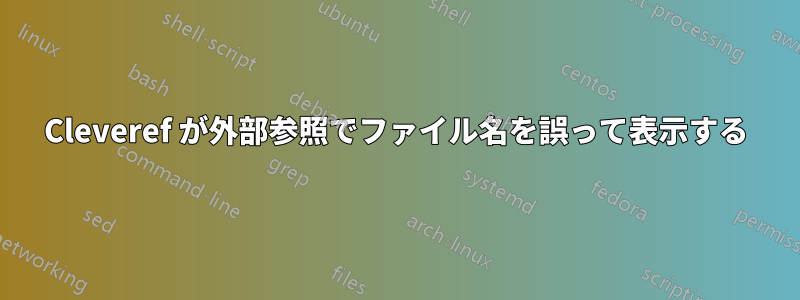 Cleveref が外部参照でファイル名を誤って表示する