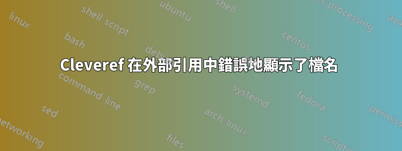 Cleveref 在外部引用中錯誤地顯示了檔名