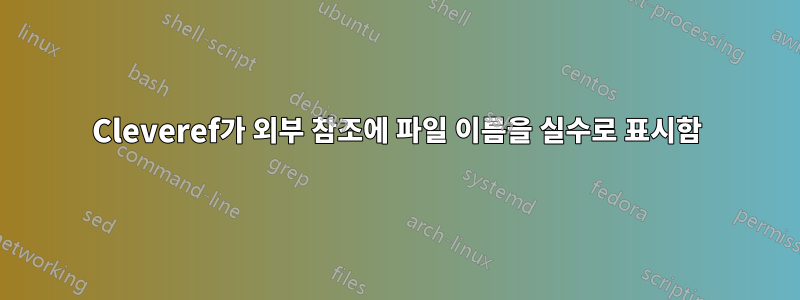 Cleveref가 외부 참조에 파일 이름을 실수로 표시함