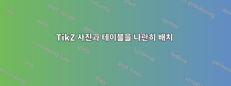 TikZ 사진과 테이블을 나란히 배치