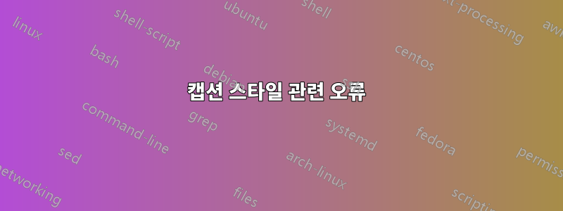 캡션 스타일 관련 오류 