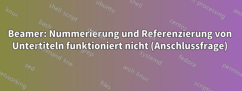 Beamer: Nummerierung und Referenzierung von Untertiteln funktioniert nicht (Anschlussfrage)