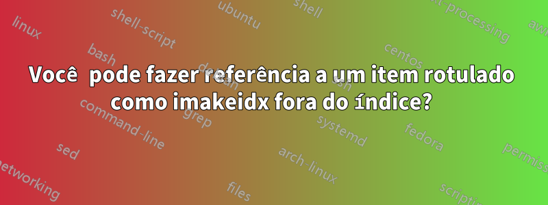 Você pode fazer referência a um item rotulado como imakeidx fora do índice?