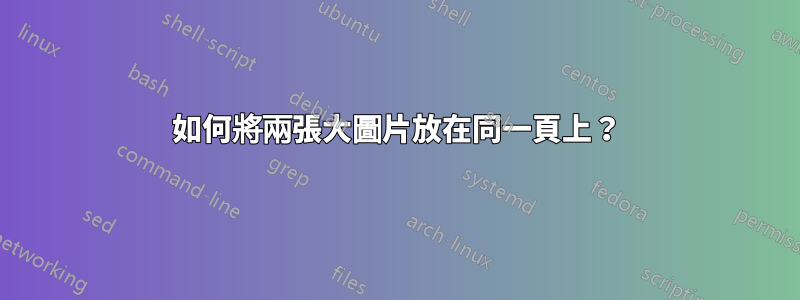 如何將兩張大圖片放在同一頁上？