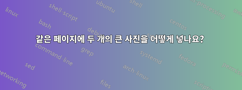 같은 페이지에 두 개의 큰 사진을 어떻게 넣나요?