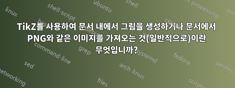 TikZ를 사용하여 문서 내에서 그림을 생성하거나 문서에서 PNG와 같은 이미지를 가져오는 것(일반적으로)이란 무엇입니까?