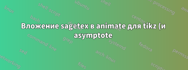 Вложение sagetex в animate для tikz (и asymptote) gif - возможно или невозможно?