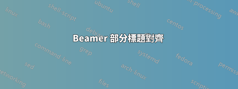 Beamer 部分標題對齊