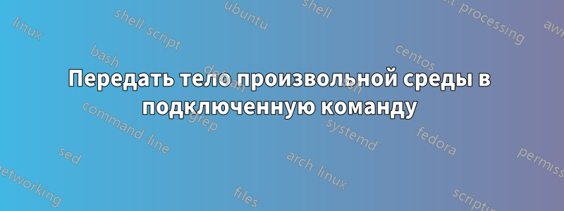 Передать тело произвольной среды в подключенную команду