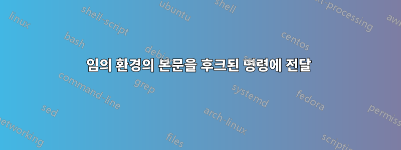 임의 환경의 본문을 후크된 명령에 전달