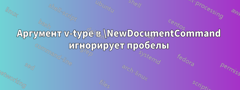 Аргумент v-type в \NewDocumentCommand игнорирует пробелы