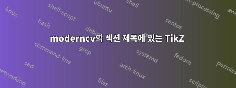 moderncv의 섹션 제목에 있는 TikZ