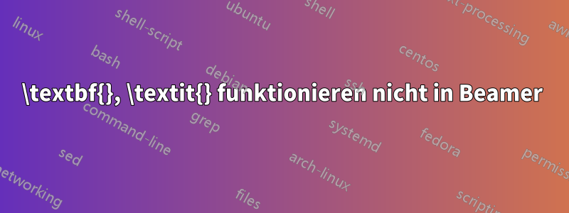 \textbf{}, \textit{} funktionieren nicht in Beamer