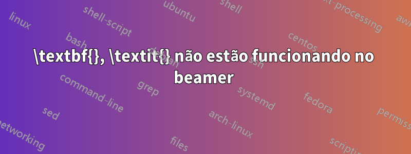 \textbf{}, \textit{} não estão funcionando no beamer