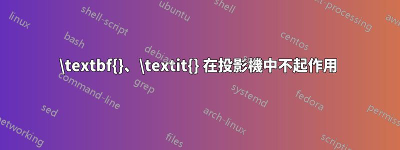 \textbf{}、\textit{} 在投影機中不起作用