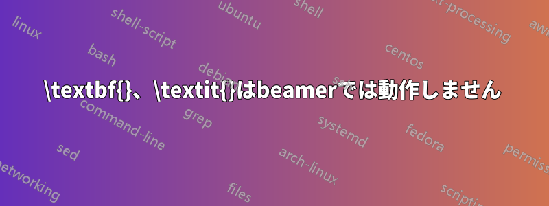 \textbf{}、\textit{}はbeamerでは動作しません