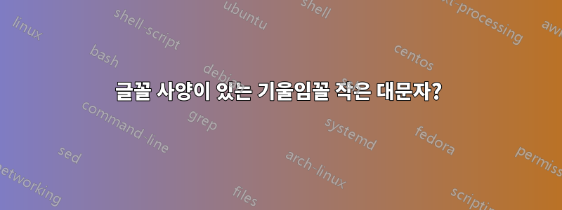 글꼴 사양이 있는 기울임꼴 작은 대문자?