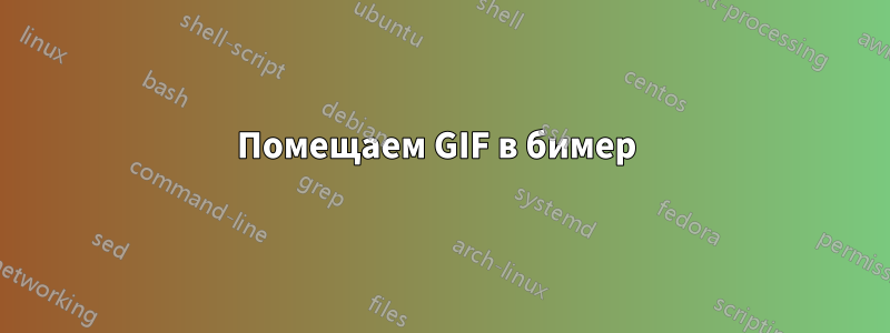 Помещаем GIF в бимер 