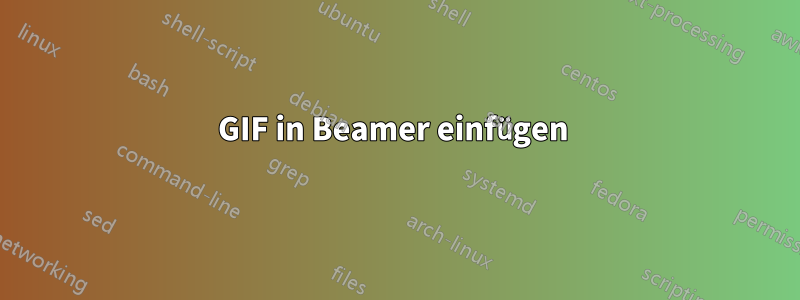 GIF in Beamer einfügen 