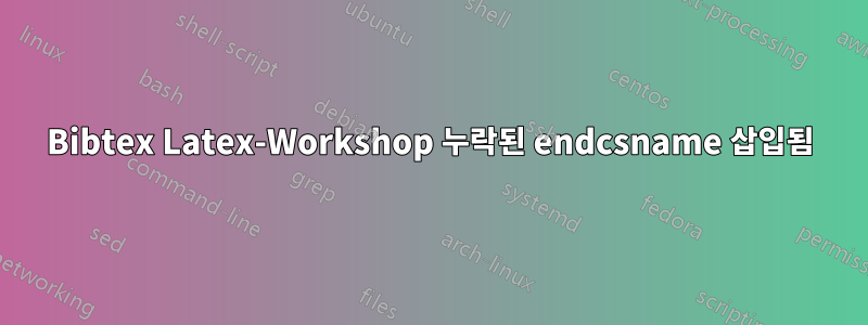 Bibtex Latex-Workshop 누락된 endcsname 삽입됨