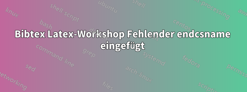 Bibtex Latex-Workshop Fehlender endcsname eingefügt