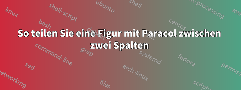 So teilen Sie eine Figur mit Paracol zwischen zwei Spalten