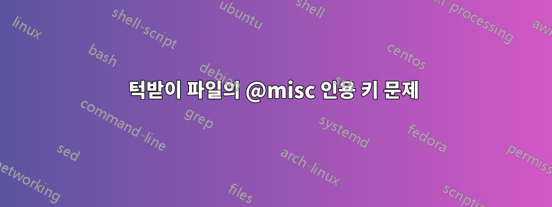 턱받이 파일의 @misc 인용 키 문제