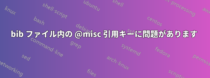 bib ファイル内の @misc 引用キーに問題があります