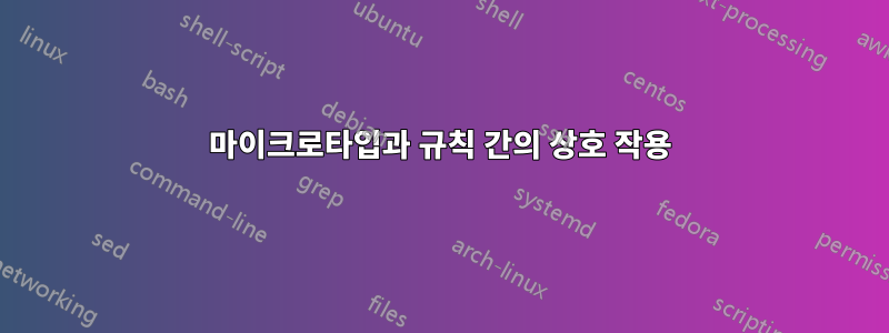 마이크로타입과 규칙 간의 상호 작용