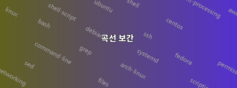 곡선 보간