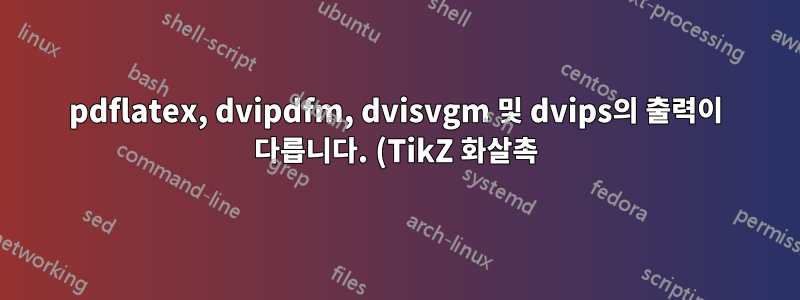 pdflatex, dvipdfm, dvisvgm 및 dvips의 출력이 다릅니다. (TikZ 화살촉)