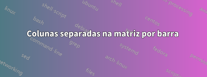 Colunas separadas na matriz por barra