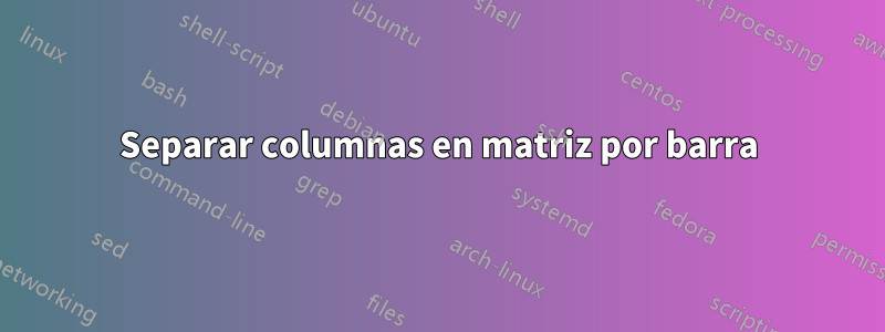 Separar columnas en matriz por barra