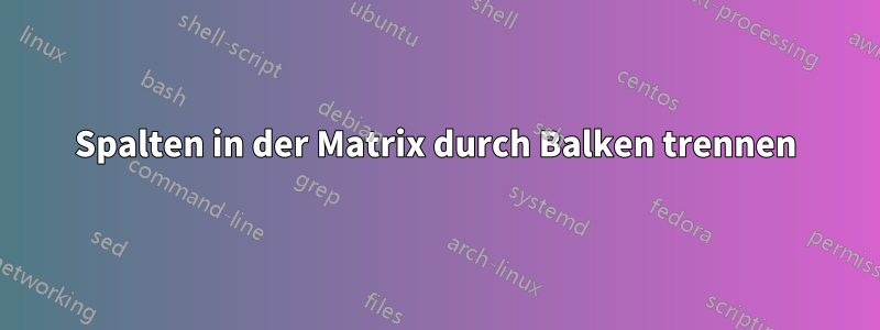 Spalten in der Matrix durch Balken trennen