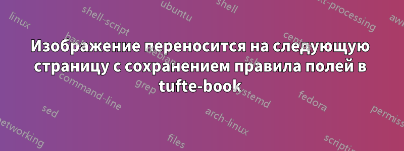 Изображение переносится на следующую страницу с сохранением правила полей в tufte-book