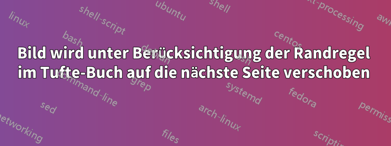 Bild wird unter Berücksichtigung der Randregel im Tufte-Buch auf die nächste Seite verschoben