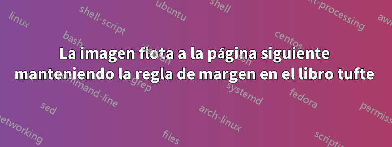 La imagen flota a la página siguiente manteniendo la regla de margen en el libro tufte