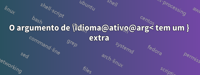 O argumento de \idioma@ativo@arg< tem um } extra