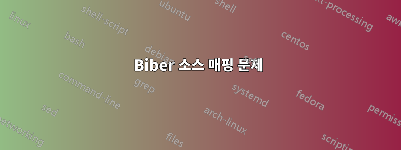 Biber 소스 매핑 문제