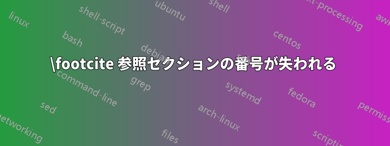 \footcite 参照セクションの番号が失われる