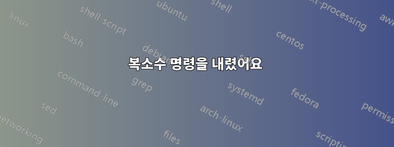 복소수 명령을 내렸어요