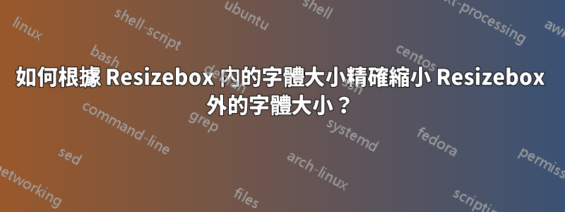 如何根據 Resizebox 內的字體大小精確縮小 Resizebox 外的字體大小？