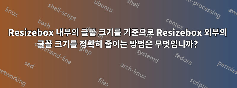 Resizebox 내부의 글꼴 크기를 기준으로 Resizebox 외부의 글꼴 크기를 정확히 줄이는 방법은 무엇입니까?