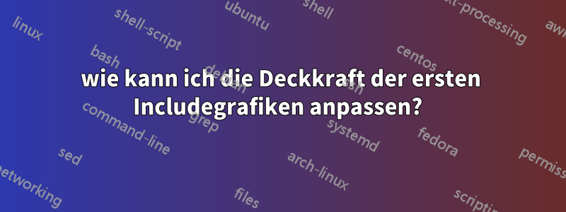 wie kann ich die Deckkraft der ersten Includegrafiken anpassen? 