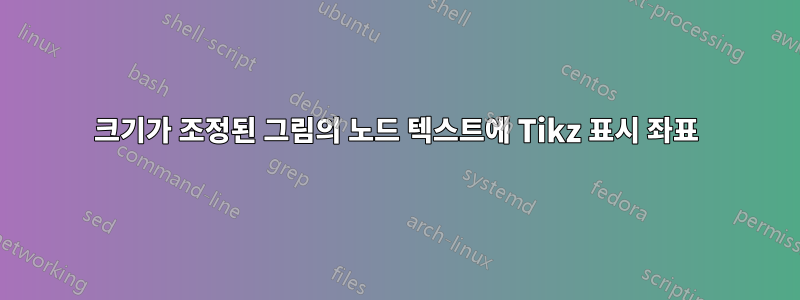 크기가 조정된 그림의 노드 텍스트에 Tikz 표시 좌표