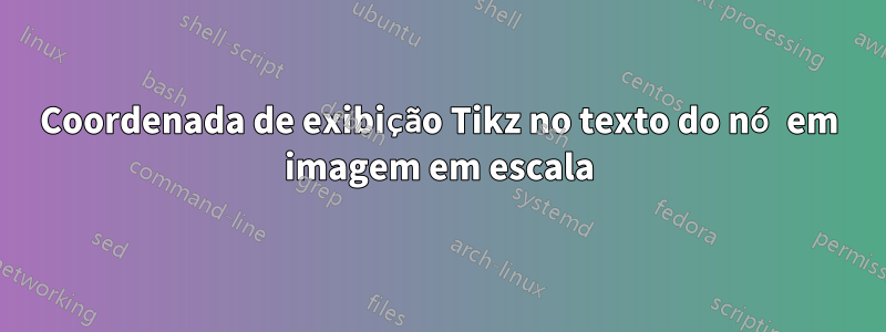 Coordenada de exibição Tikz no texto do nó em imagem em escala