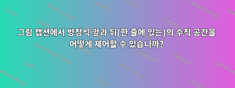 그림 캡션에서 방정식 앞과 뒤(한 줄에 있는)의 수직 공간을 어떻게 제어할 수 있습니까?